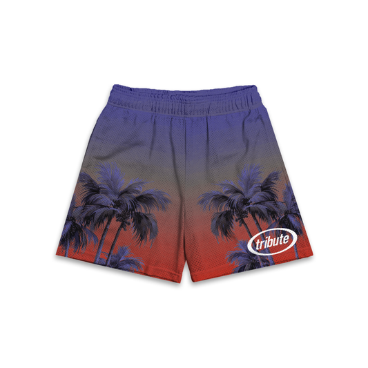 Tribute Horizon Mesh Shorts Dusk (Red/Purple)