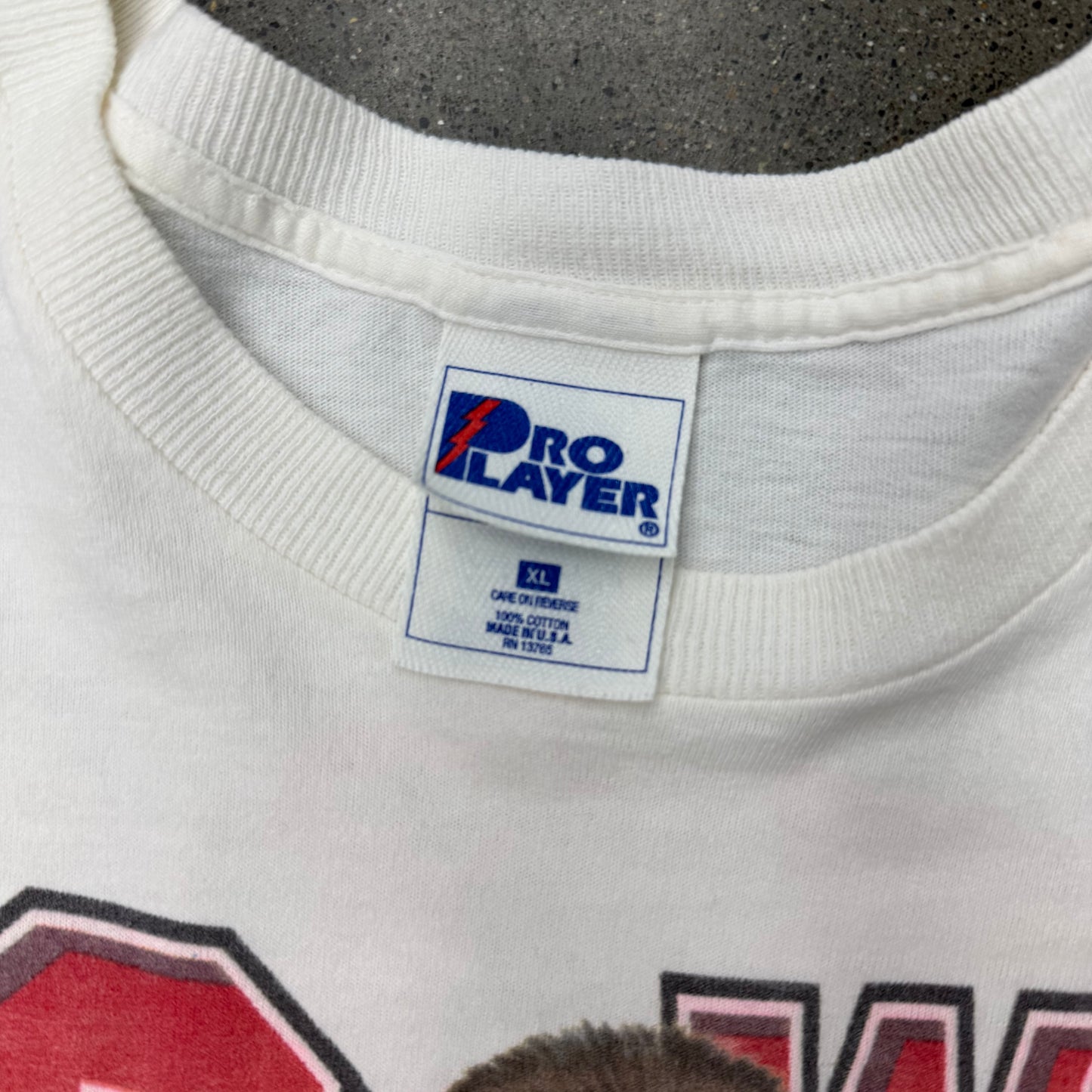 Chicago Bulls 95-96 Season Tee 70 wins SZ XL