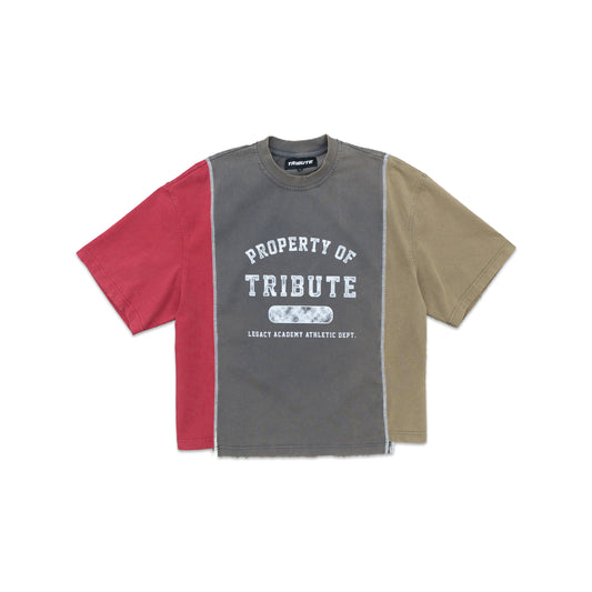 Tri-Color Panel Tee Red/Charcoal/Sage