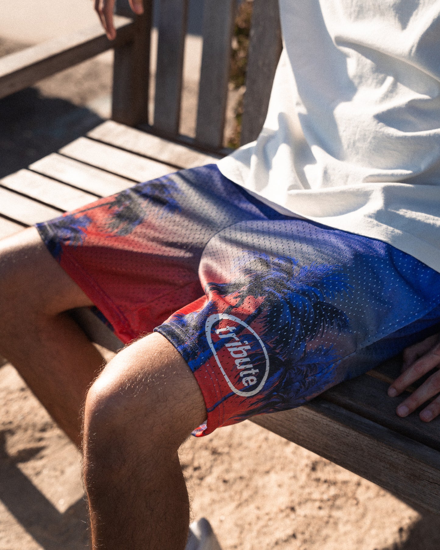 Tribute Horizon Mesh Shorts Dusk (Red/Purple)