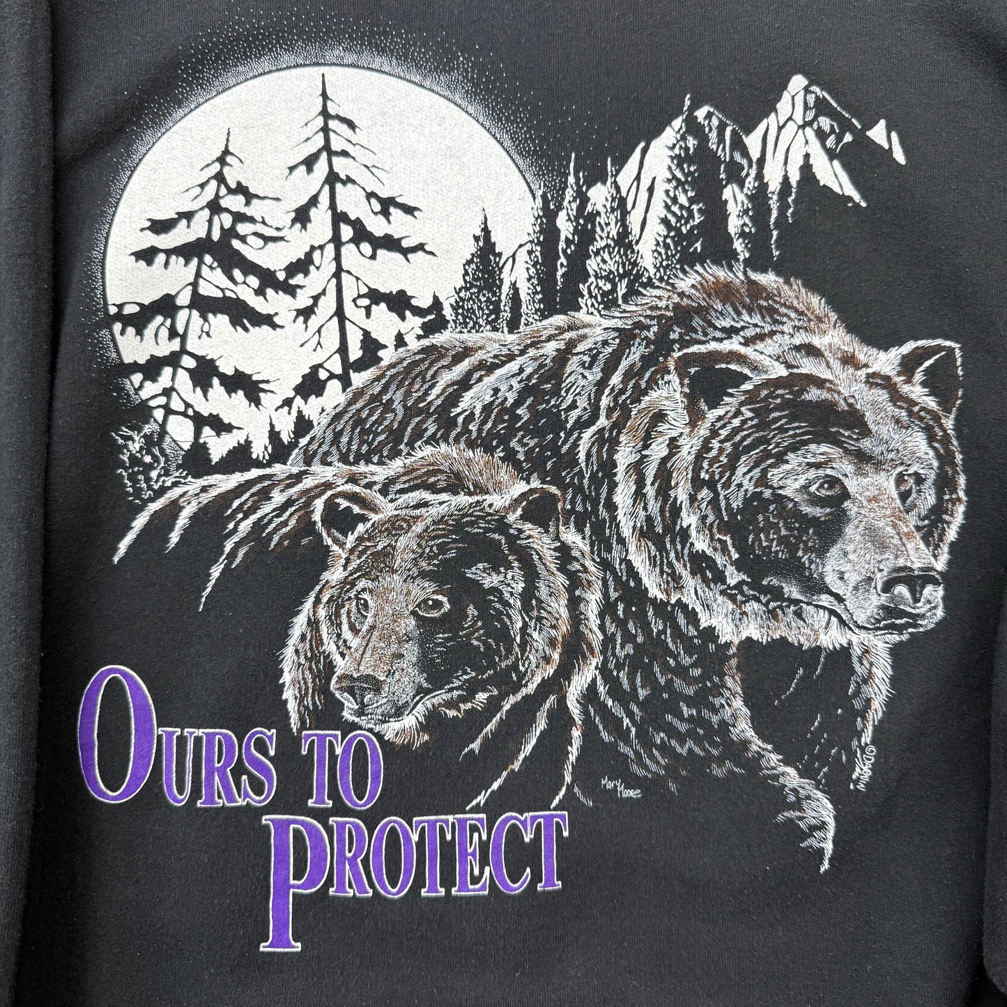 90s Ours To Protect Nature Hoodie SZ Medium