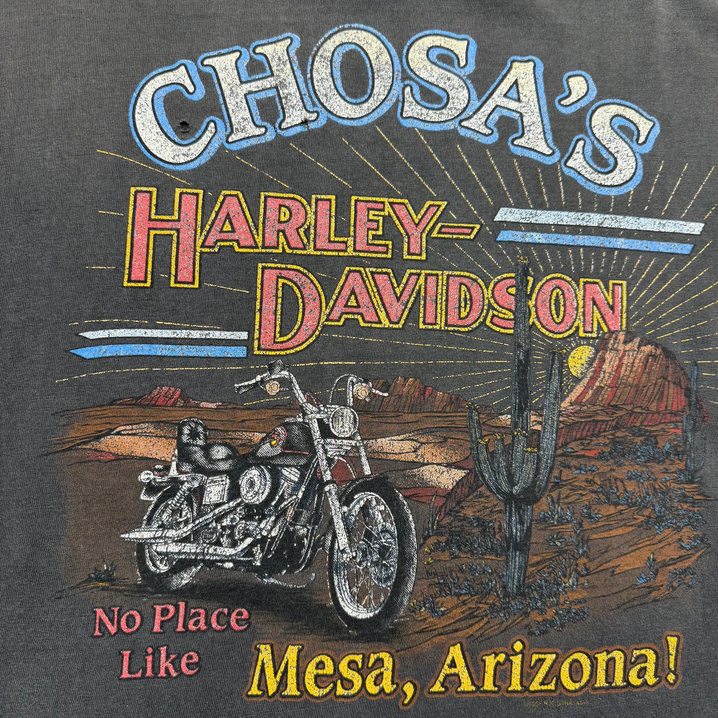90s Harley Chosa Mesa Arizona Longhorn Skull SZ Large