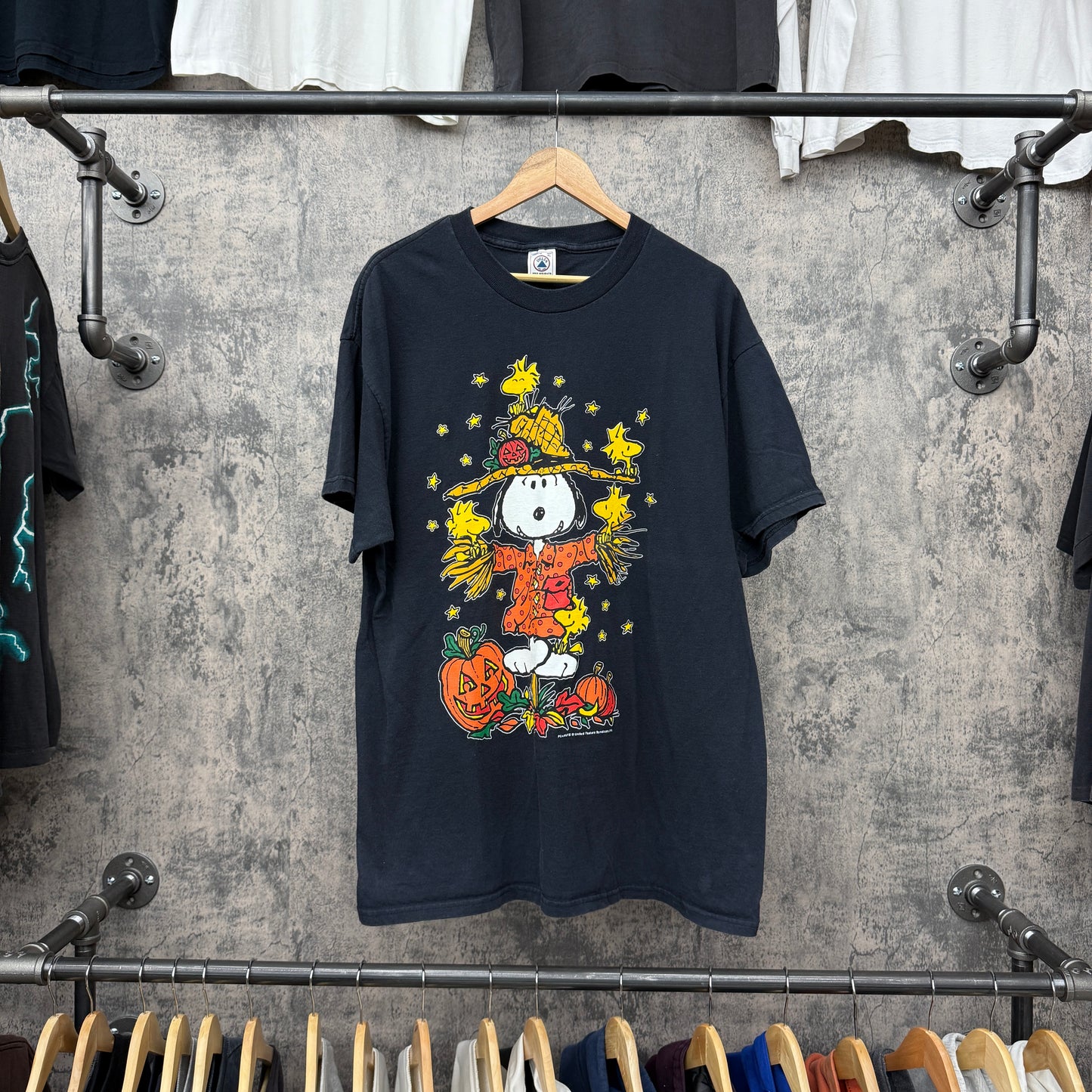 90s Peanuts Halloween Tee SZ XL