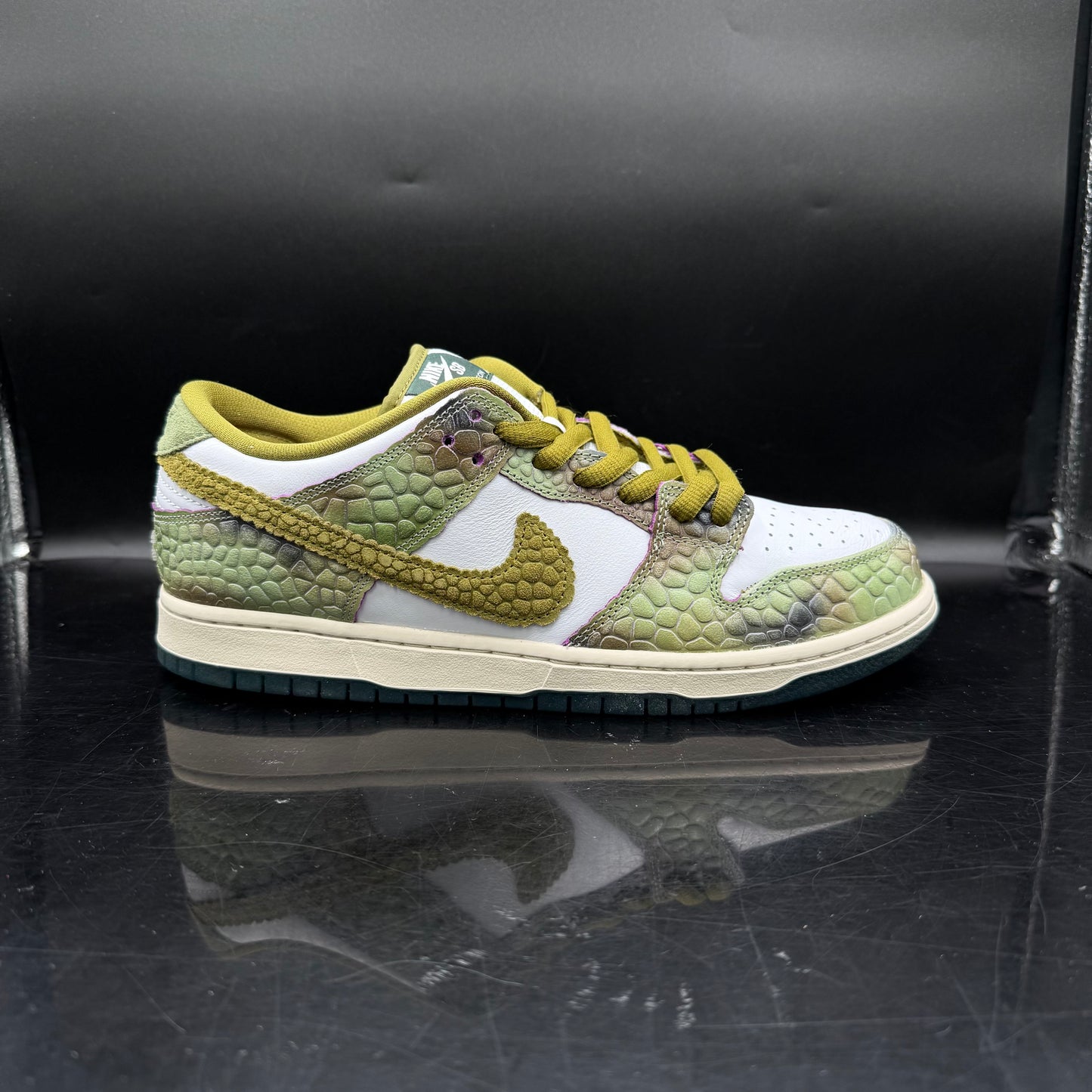 Nike SB Dunk Alexis Chameleon SZ 10.5 (DS)