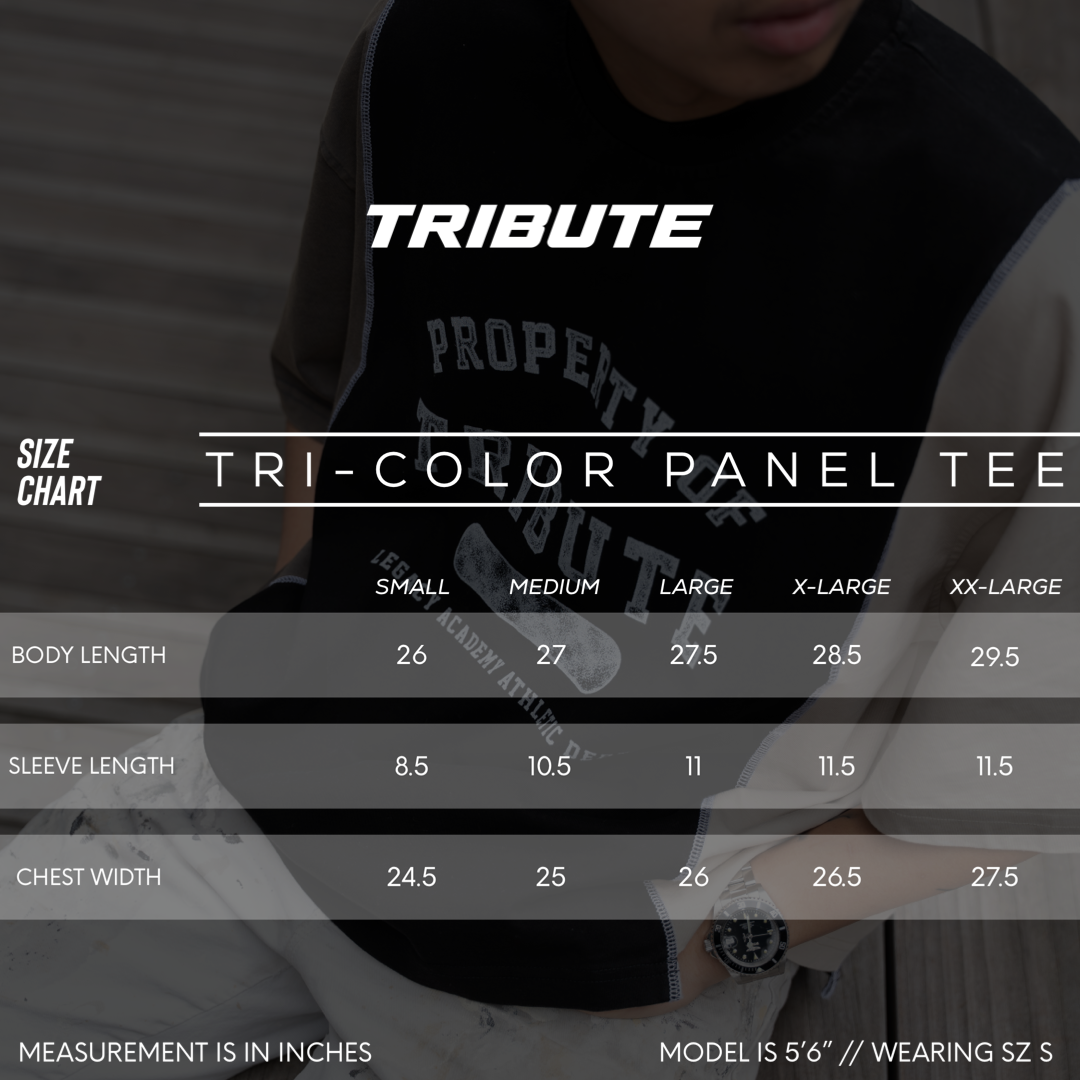 Tri-Color Panel Tee Black/Sand/Charcoal