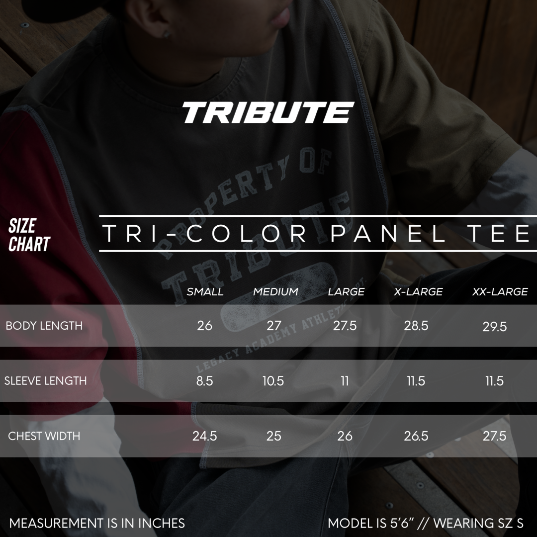 Tri-Color Panel Tee Red/Charcoal/Sage
