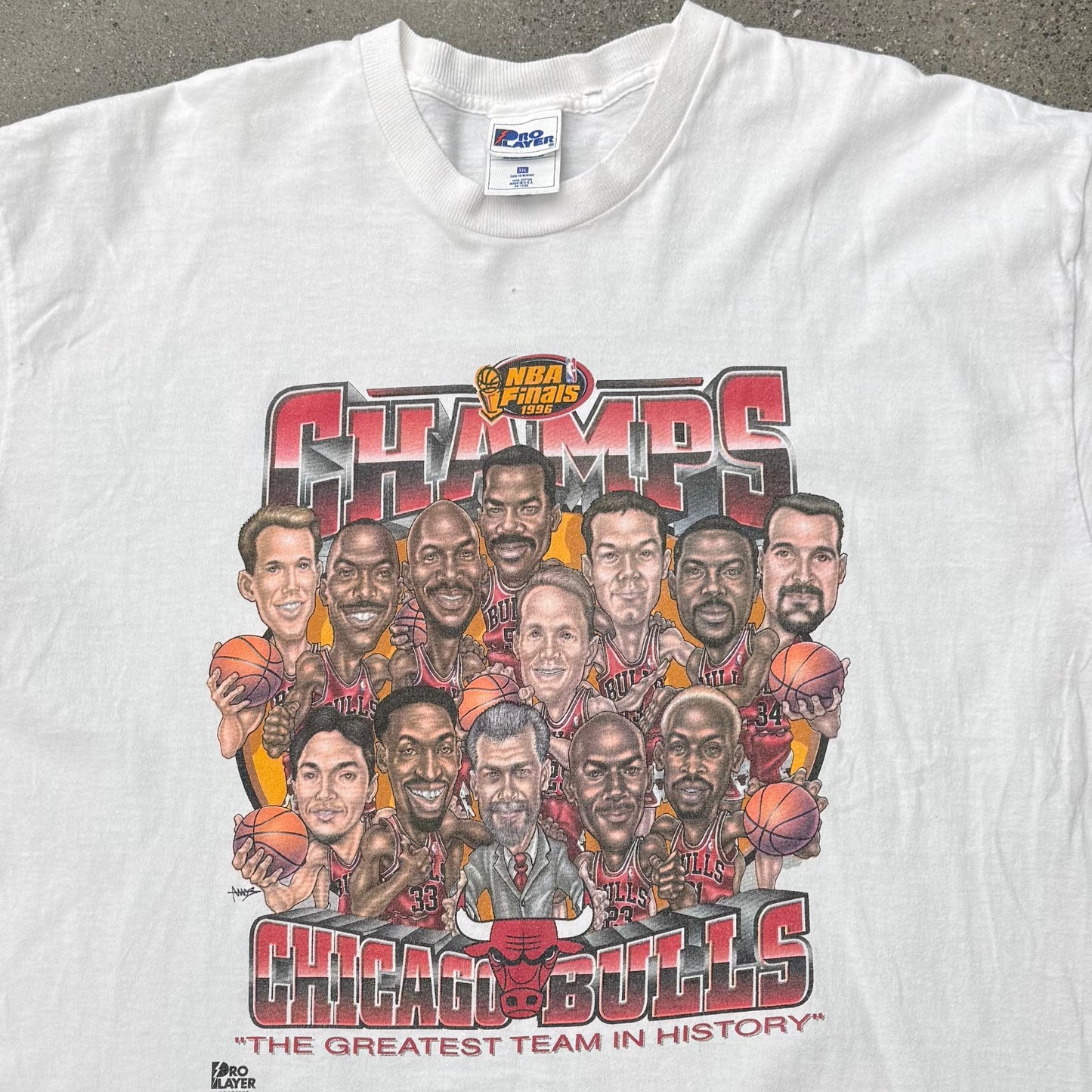 1996 NBA Finals Champs Chicago Bulls  (TGTIH) SZ XXL