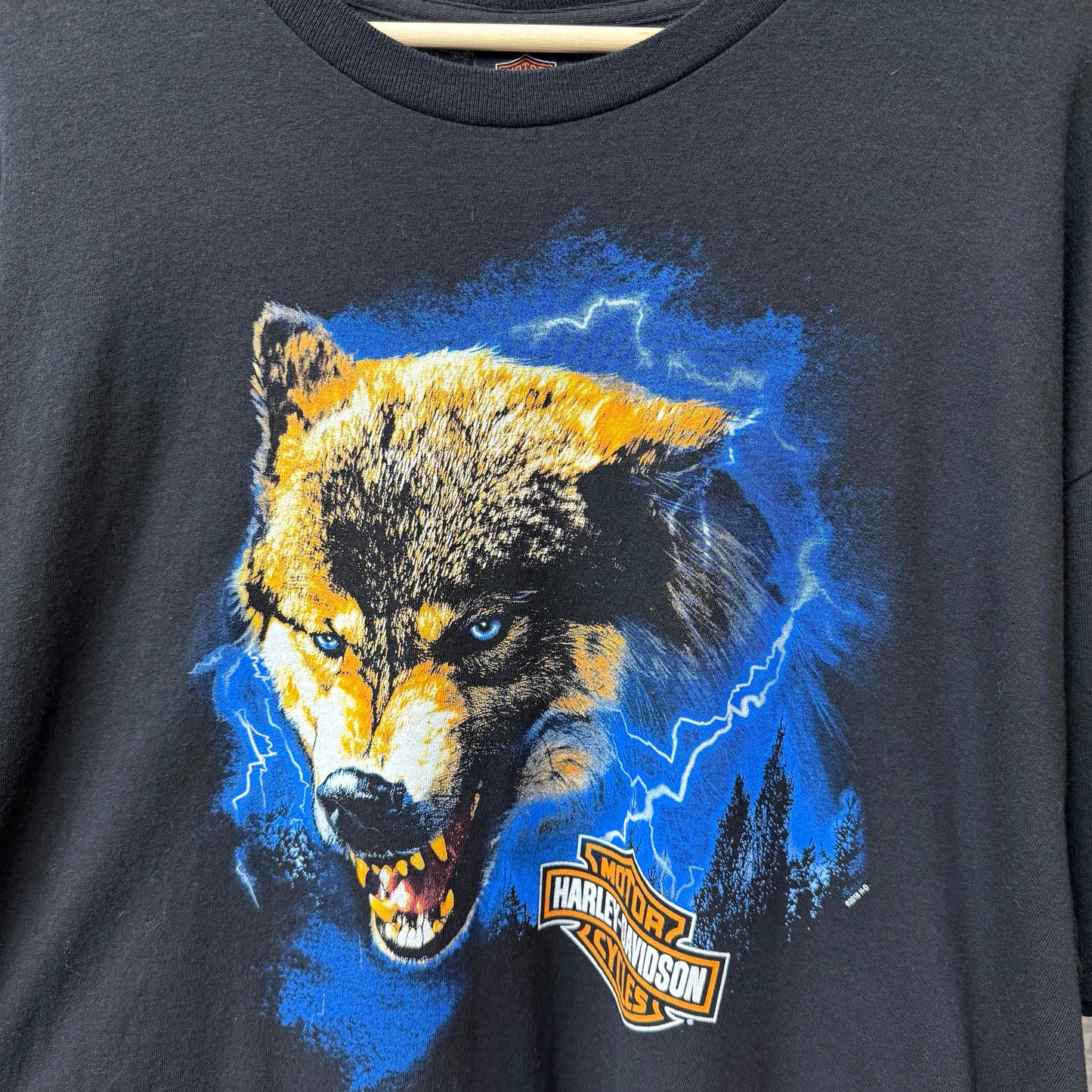 2016 Harley Lightning Wolf SZ XL