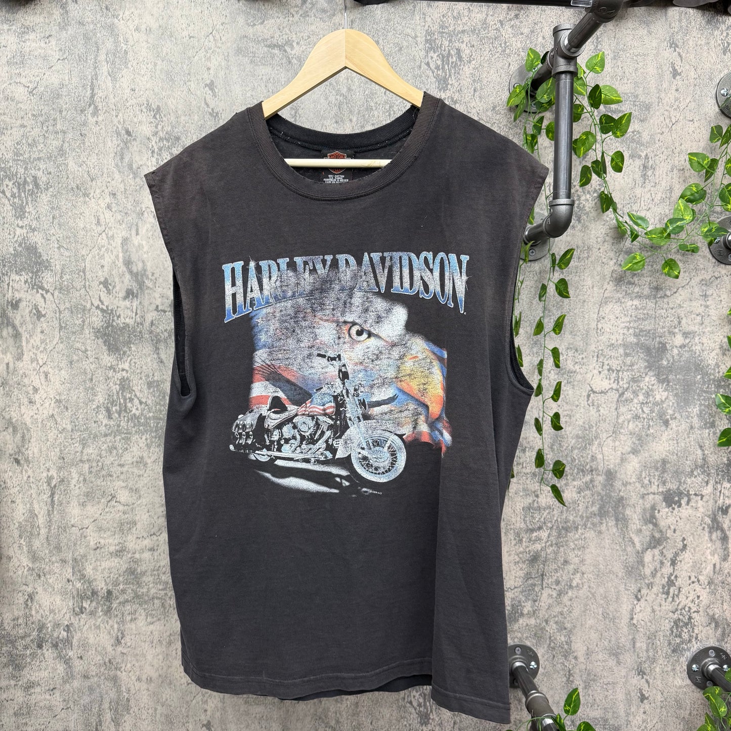 2005 Harley Eagle/Chopper USA Sherman Texas SZ L