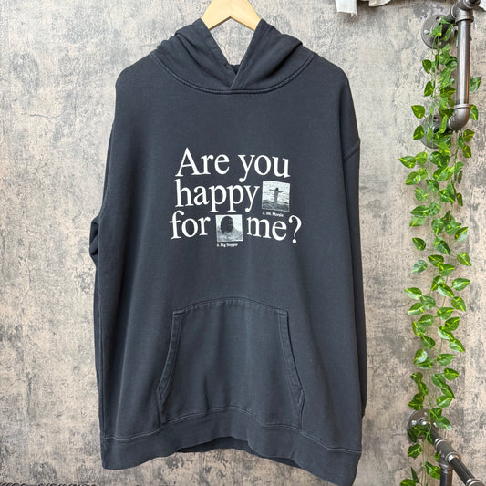 Kendrick Lamar Mr Morale Tour Hoodie SZ XL