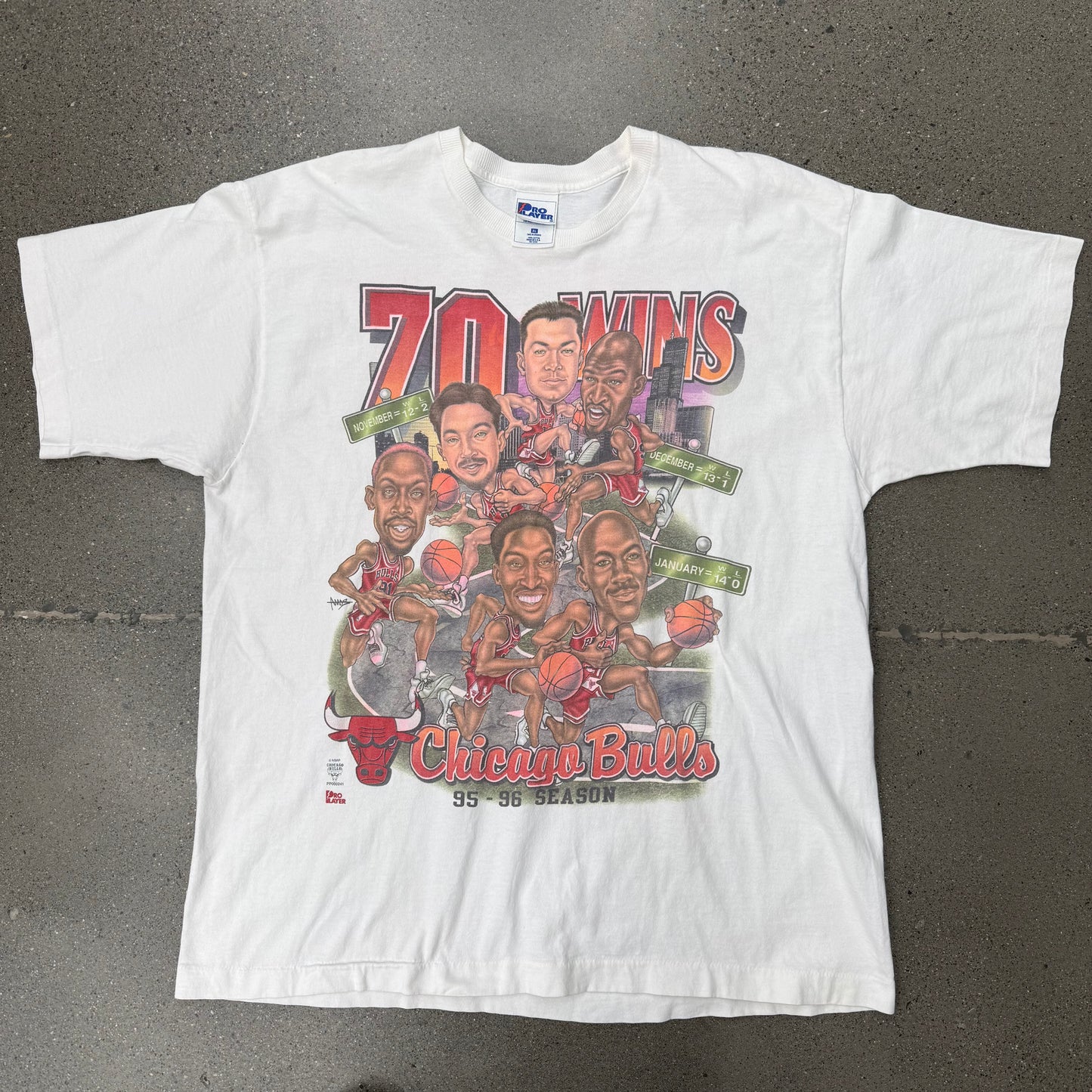 Chicago  Bulls 95-96 Season Tee 70 wins SZ XL