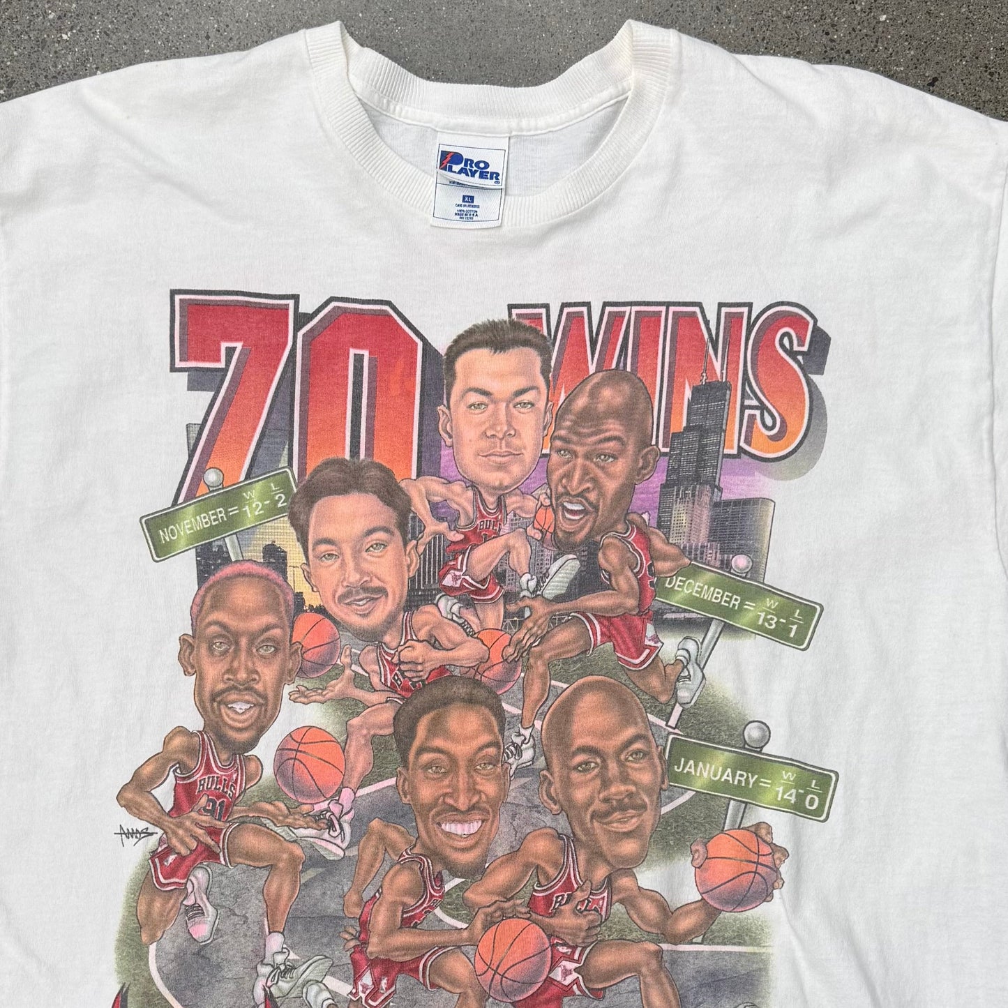 Chicago  Bulls 95-96 Season Tee 70 wins SZ XL