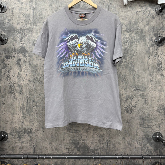 2000 Harley Faded Lightning Eagle Louisiana SZ M