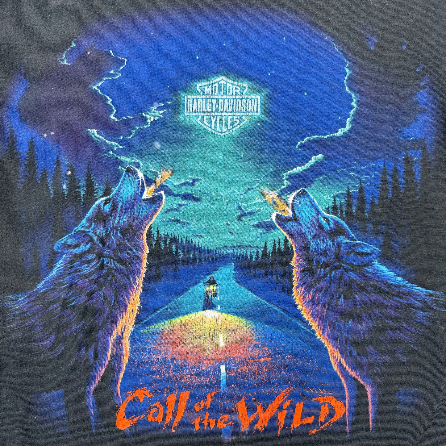 1995 Harley Call of The Wind Tee SZ Medium