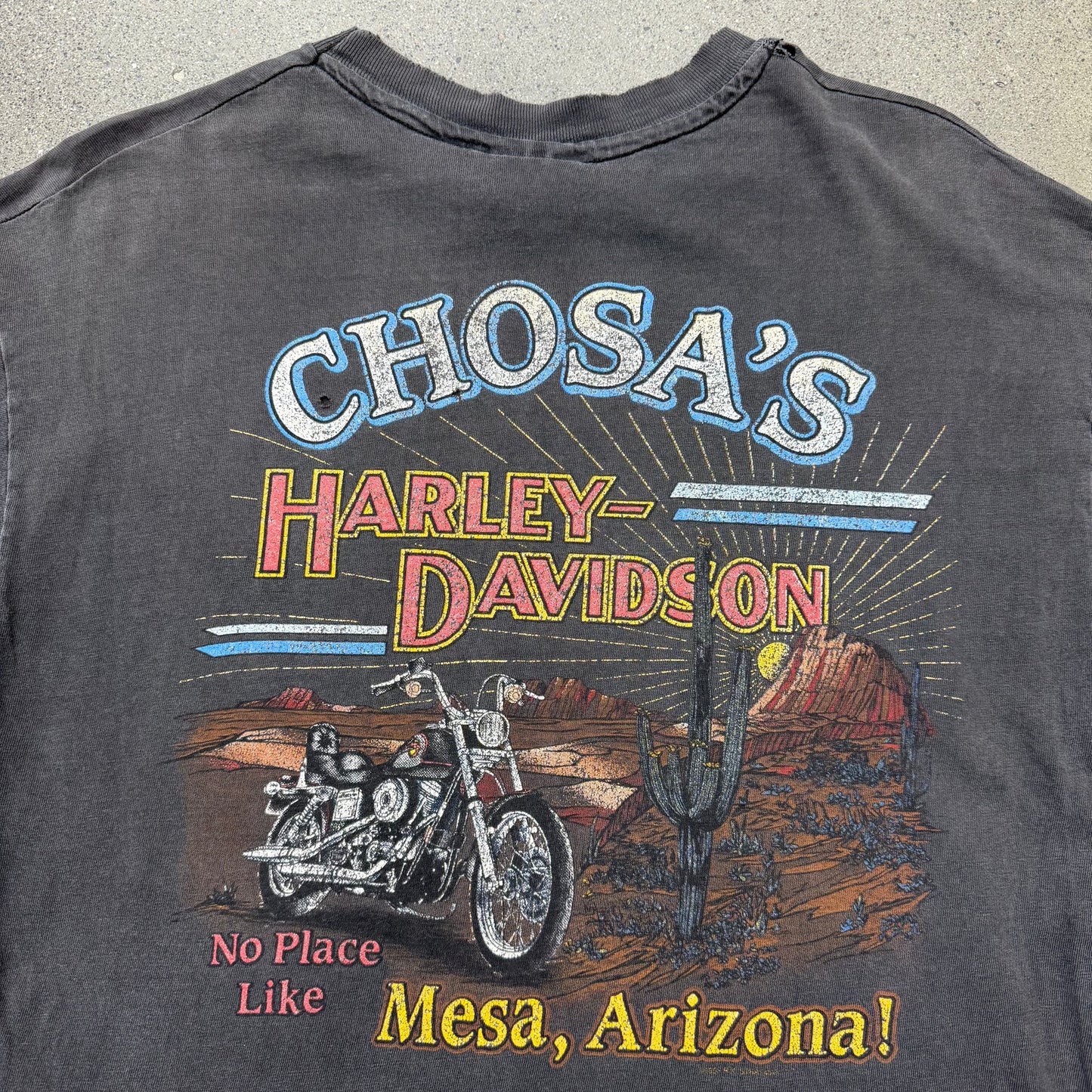 90s Harley Chosa Mesa Arizona Longhorn Skull SZ Large