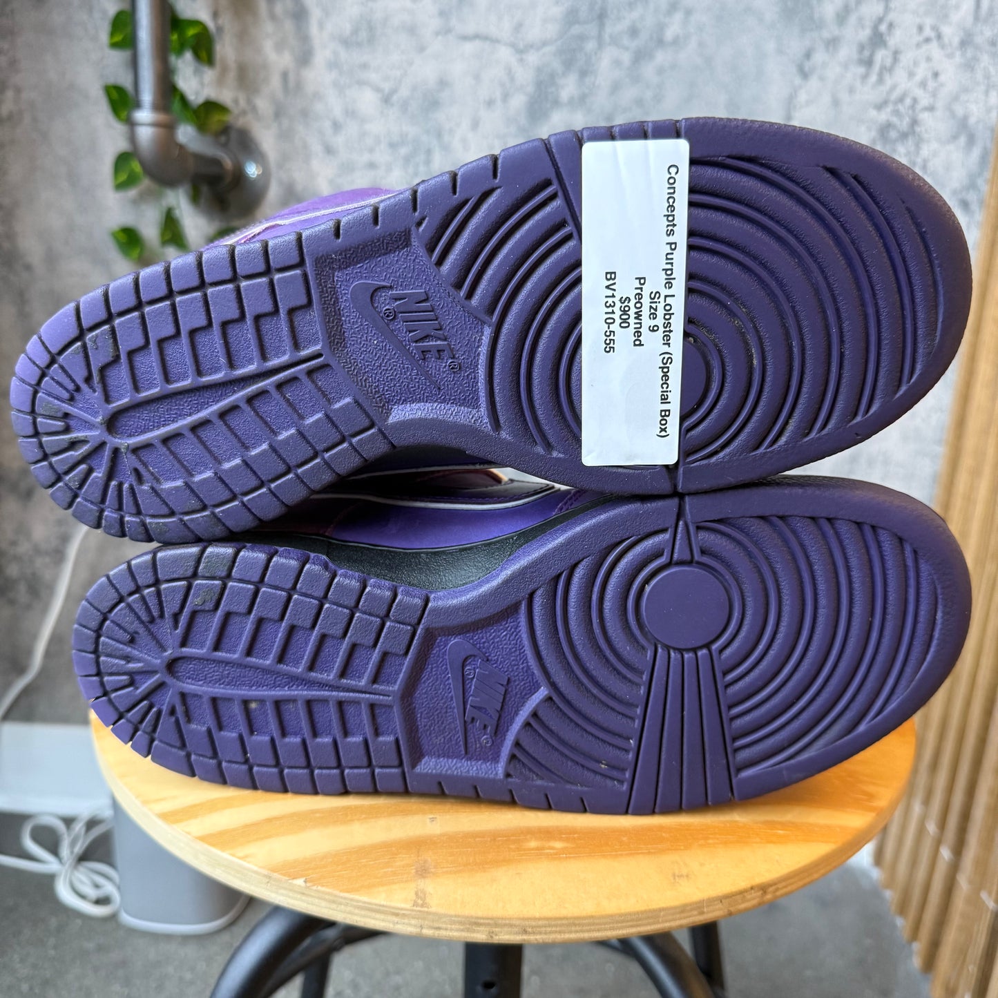 (PRE-OWNED) Nike SB Purple Lobster *Special Box* SZ 9.5