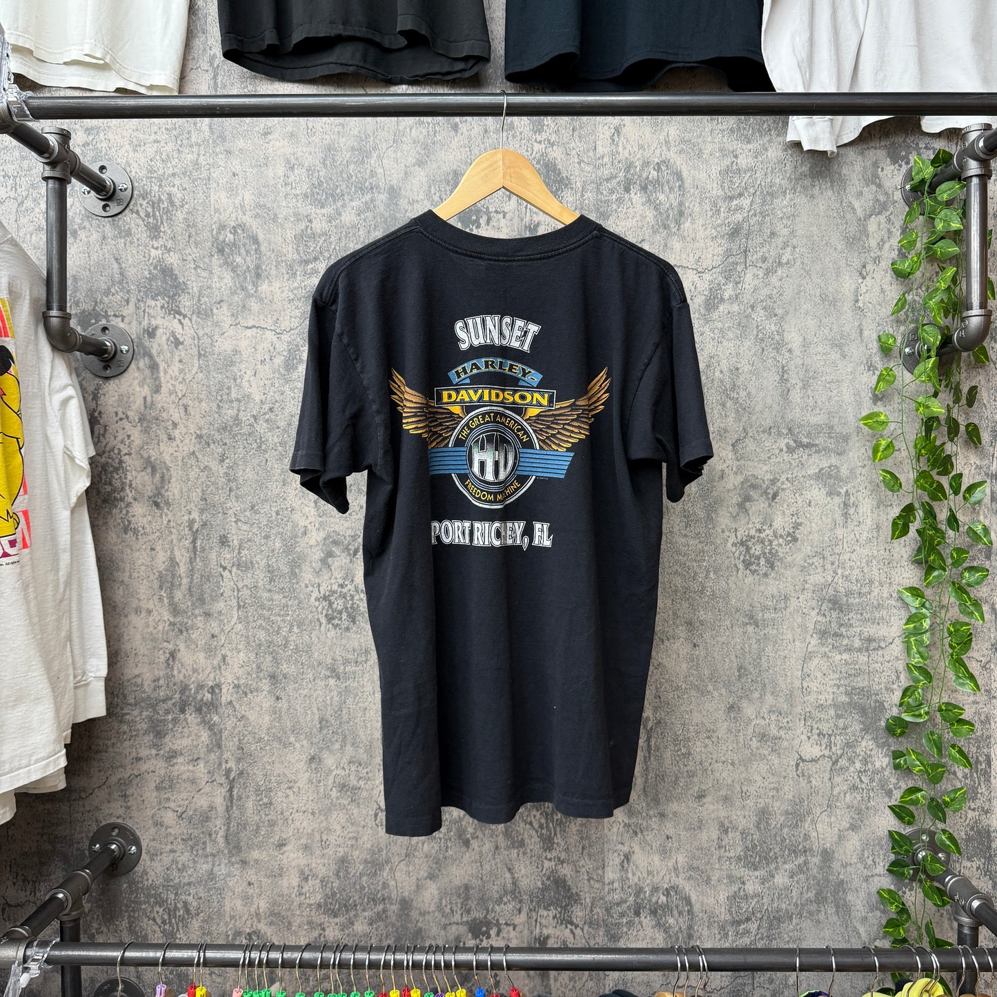 1996 Harley Davidson Port Richey FL SZ L