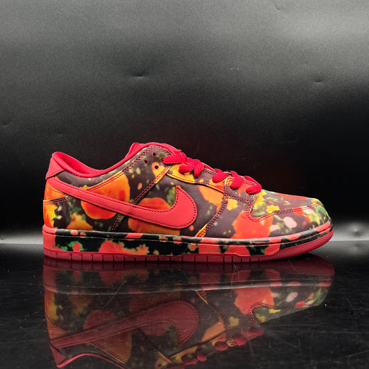 Nike SB Wizard of Oz SZ 6 (DS)