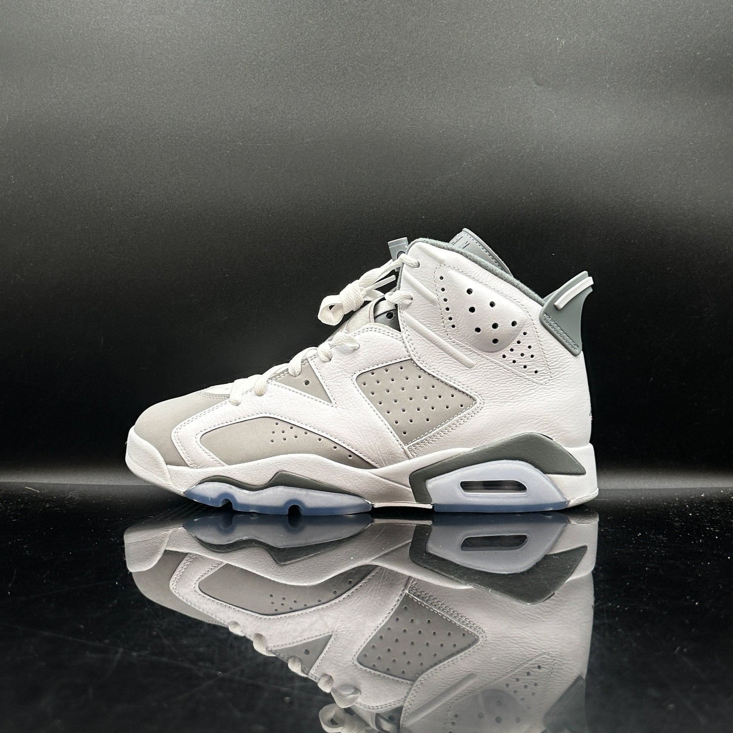 Jordan 6 Cool Grey SZ 13 (DS)